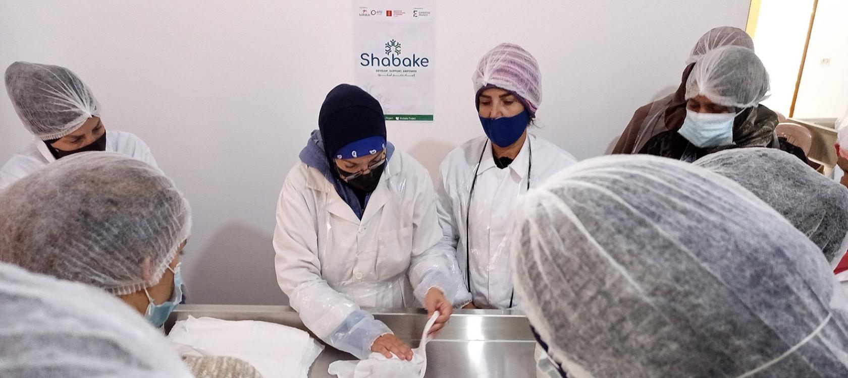 Poject Shabake in Lebanon